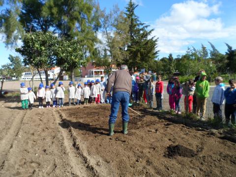 Preparar o terreno para semear as batatas.